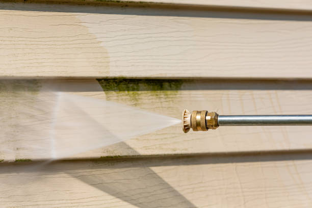 Best Deck Cleaning Services  in Lombard, IL